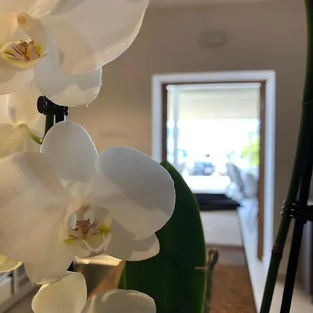 招待所 Sangulin Palace V 比奥格勒·纳·莫鲁