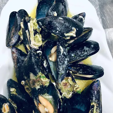 招待所 Sangulin Palace V 比奥格勒·纳·莫鲁