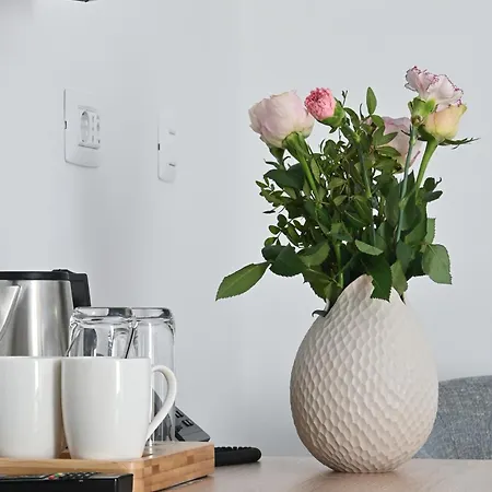 Sangulin Palace V 招待所 4*