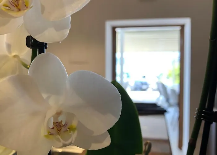 בית הארחה Sangulin Palace V ביוגראד נה מורו