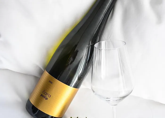 Sangulin Palace V Pensionat 4*