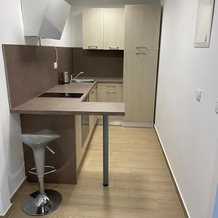 Gasthuis Sangulin Palace V 4*